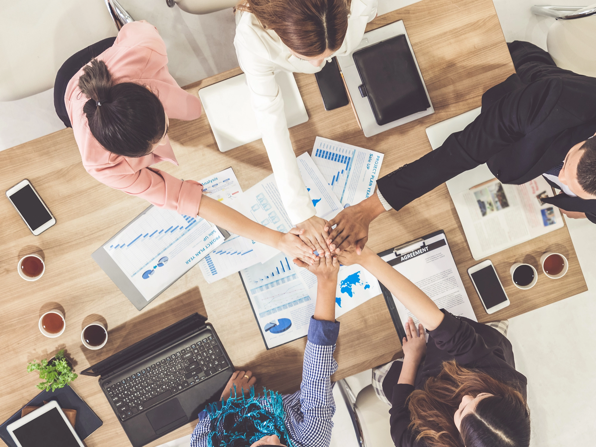 ウィントランス